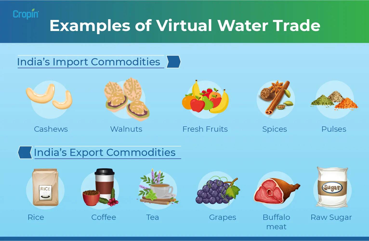 virtual-water-trade-in-the-context-of-agricultural-production